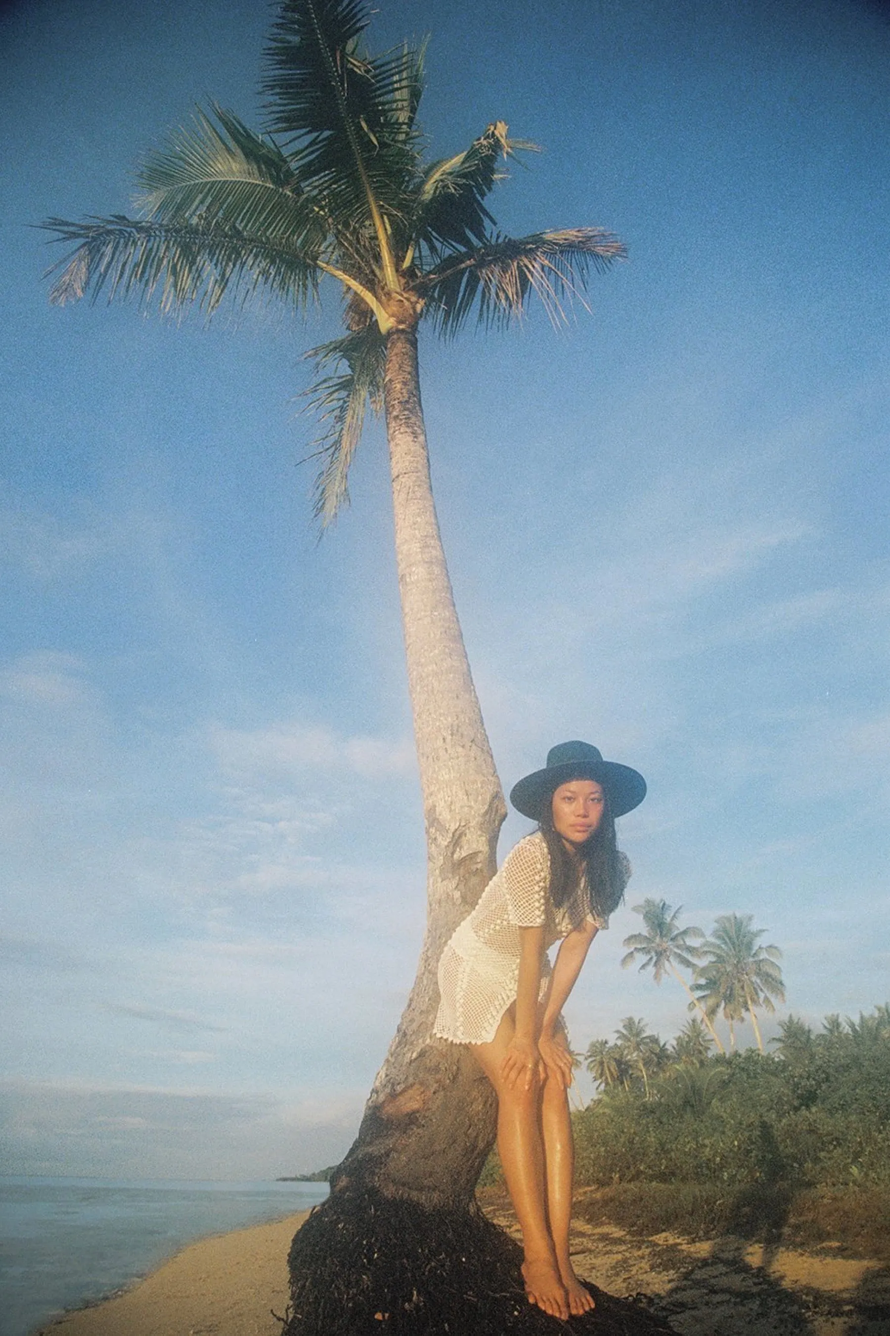Forest Rancher