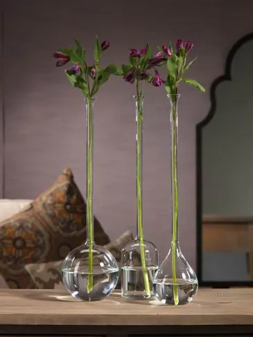 Long Neck Vases