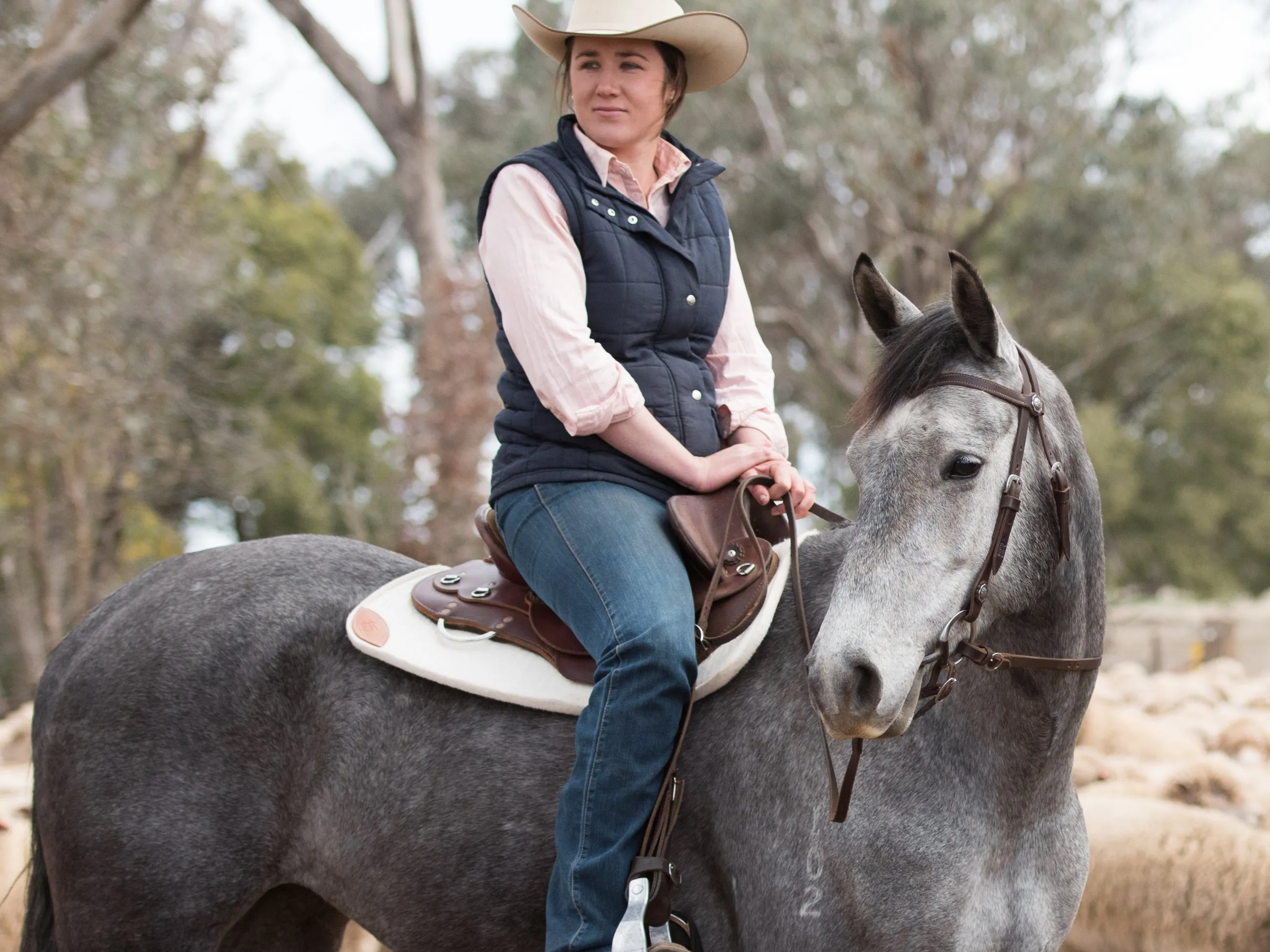 Pure Wool Saddle Pad - Classic Standard - Cleanskin