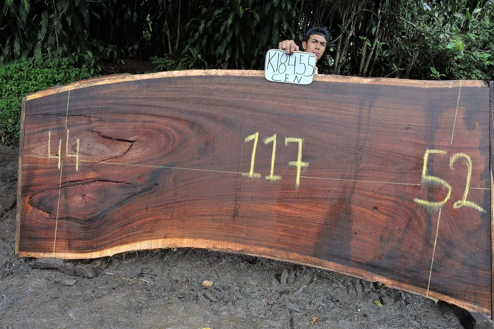Slab K18455CEN