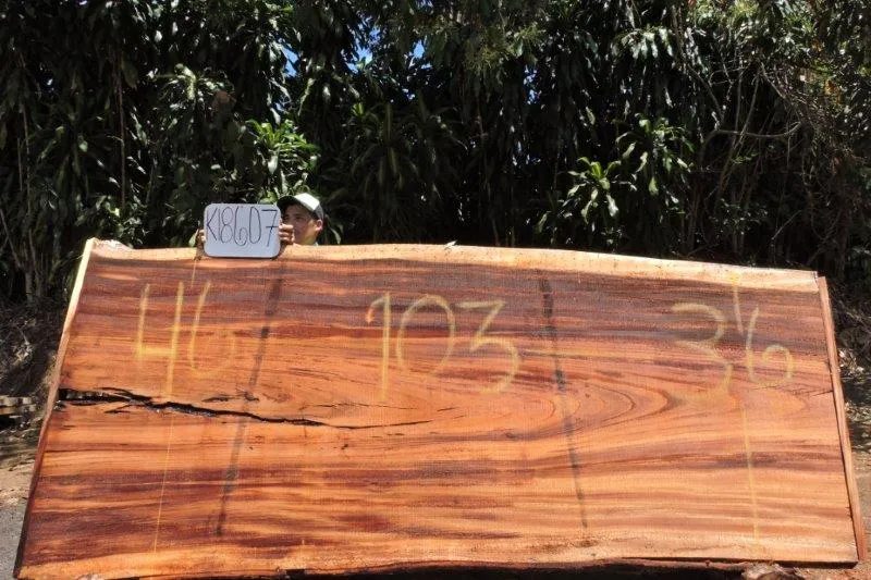 Slab K18607