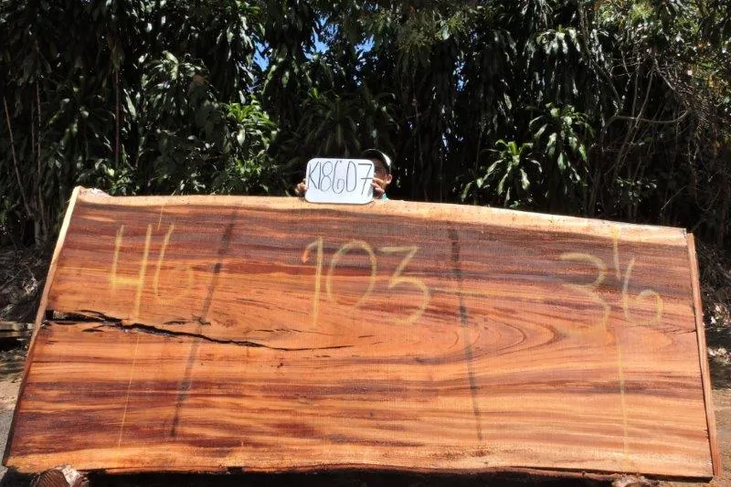 Slab K18607