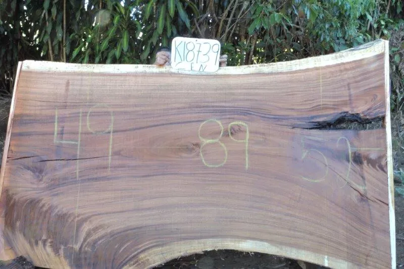 Slab K18739CEN