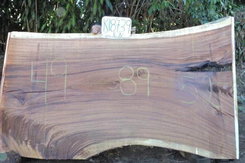 Slab K18739CEN