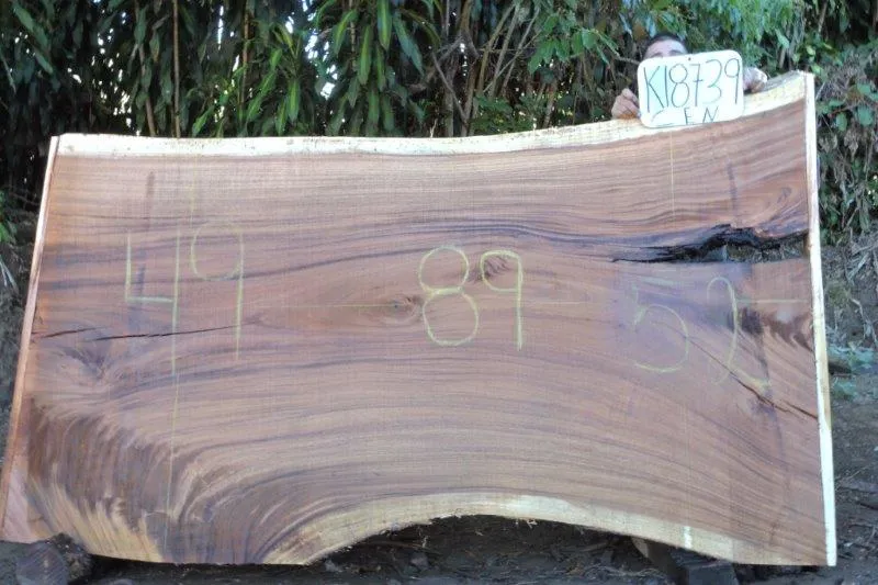 Slab K18739CEN