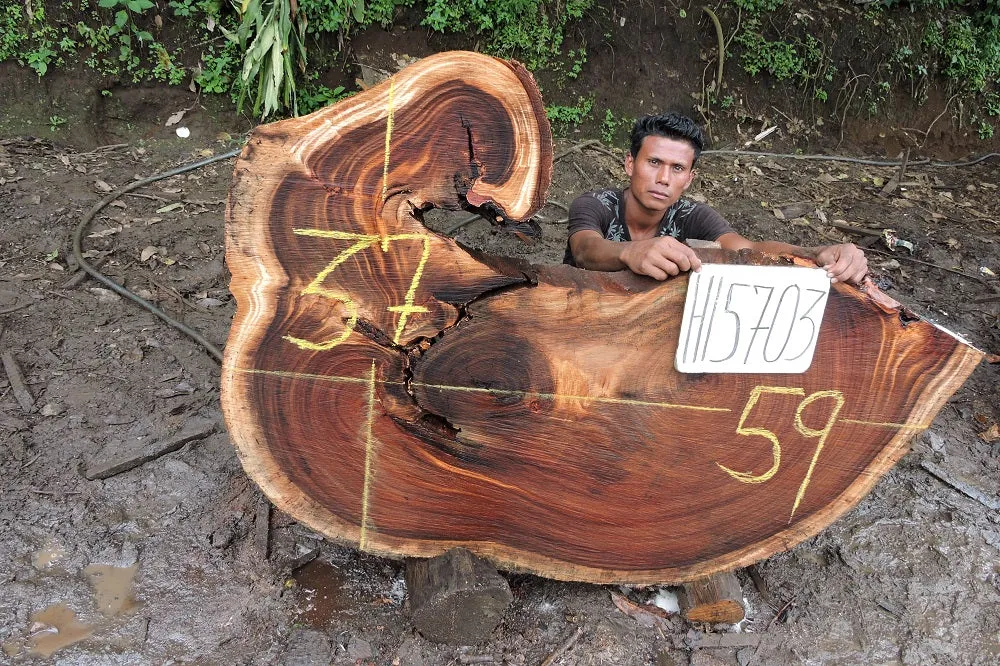 Slab LH15703