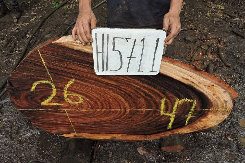 Slab LH15711