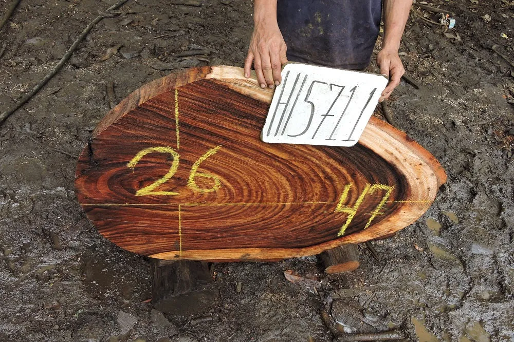 Slab LH15711