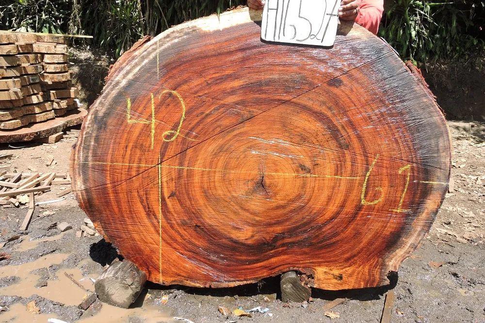 Slab LH16527