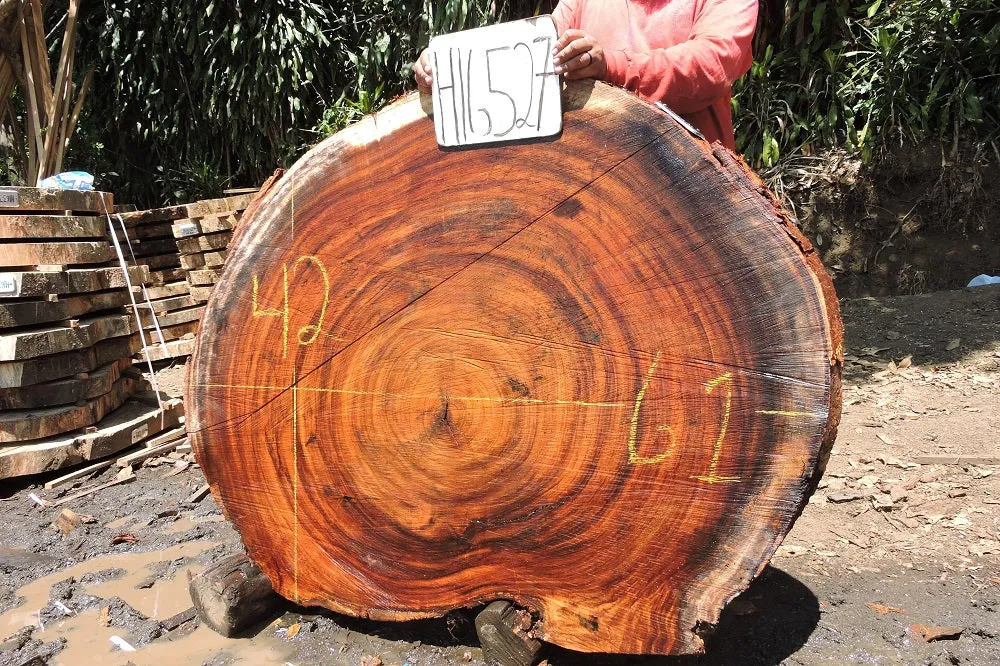 Slab LH16527