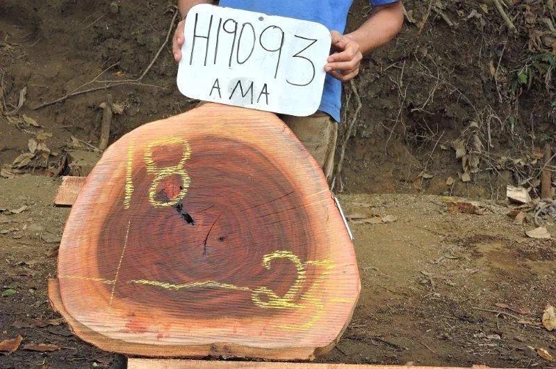Slab LH19093AMA