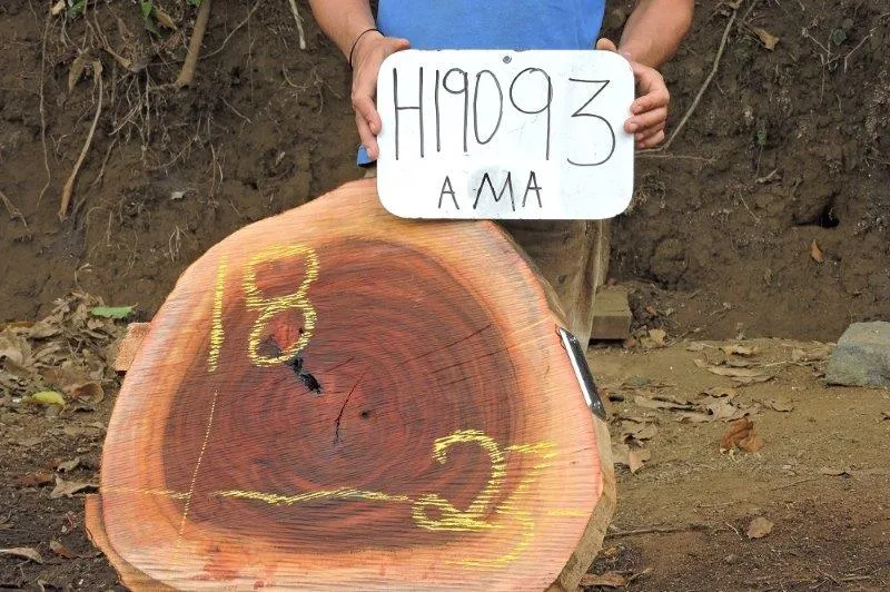 Slab LH19093AMA