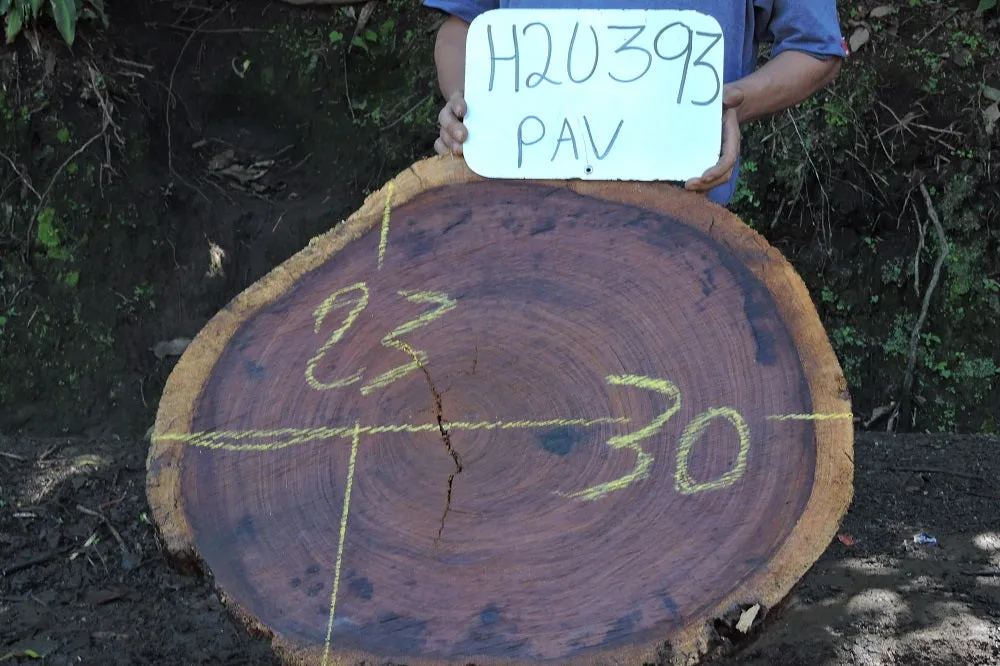 Slab LH20393PAV