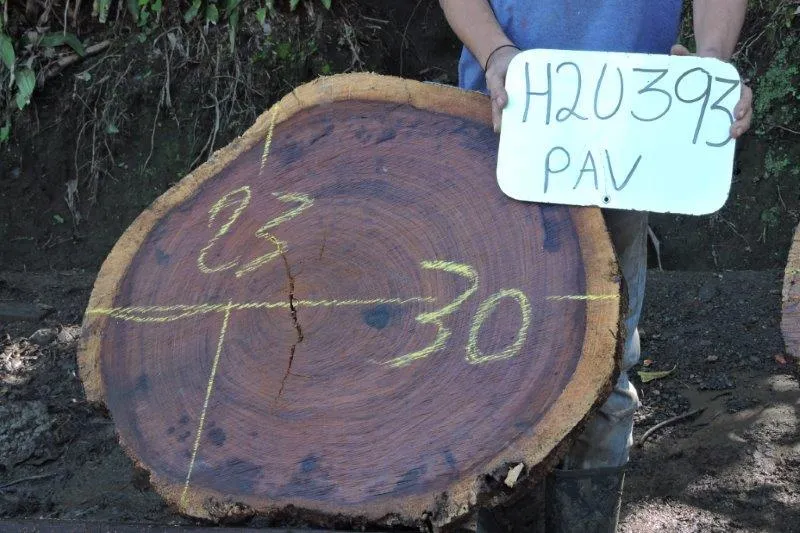 Slab LH20393PAV
