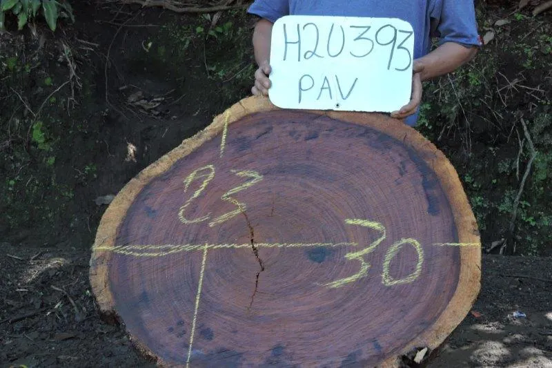 Slab LH20393PAV