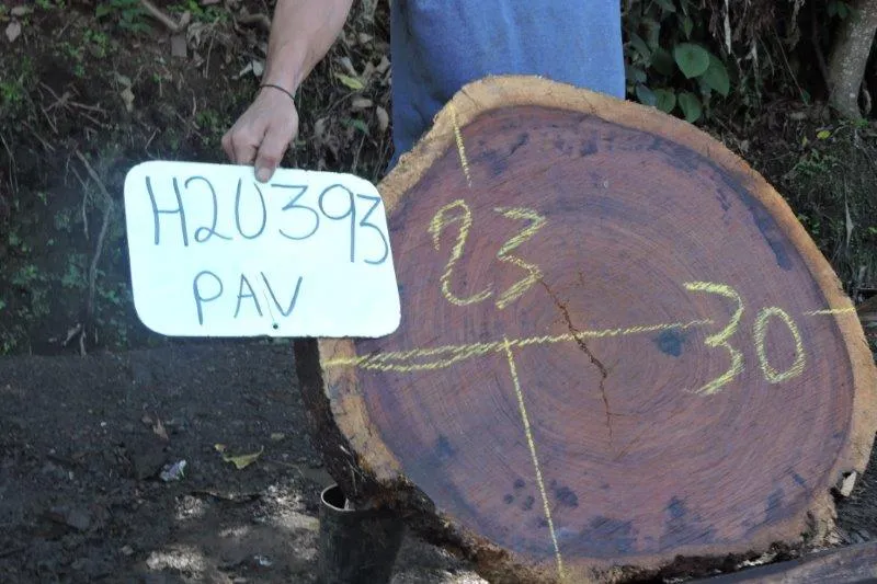 Slab LH20393PAV